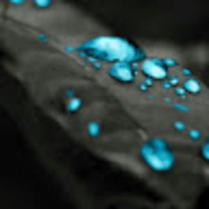 Meet your Posher, Jose